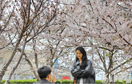 花生米批发花盆花圈材料花生酱生产线花椒苗